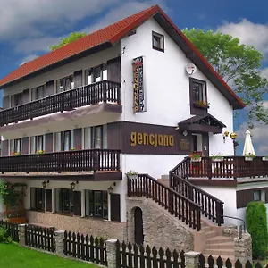 Gencjana , Szklarska Poręba Polska